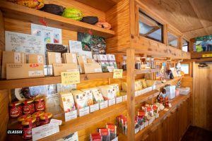 タイニーハウス・ジャパン