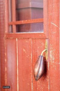 タイニーハウス・ジャパン